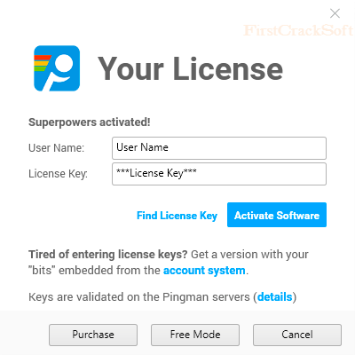 PingPlotter Pro License Key 2024