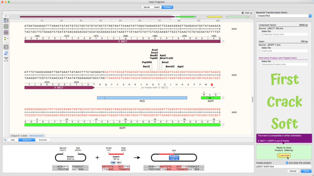 SnapGene Download Full Crack 