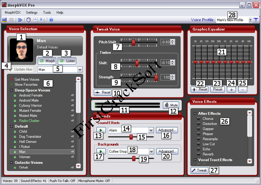 MorphVOX Pro Free Download