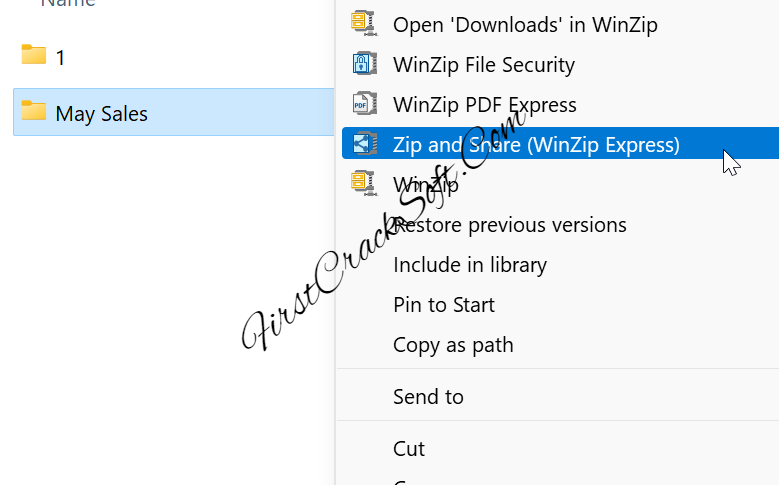 WinZip Privacy Protector Free Download 